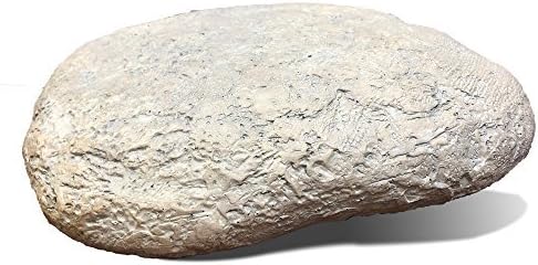 GiftsForYouNow Personalized Dogs Leave Paw Prints On Our Hearts 11.5 Inch Memorial Garden Stone