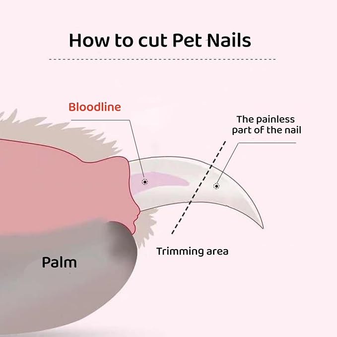 Quiet 2 in 1 Dog Nail Clippers & Cat Claw Trimmers,USB Rechargeable Claw Clippers for Small Medium Dogs and Cats,Cordless Safe Guard Nail Grinder with LED Lights Pink