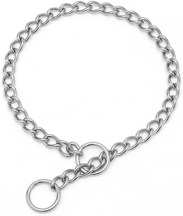 Dog Chain Collars, 304 Stainless Steel Choke Collar for Dogs Metal Slip Collars Martingale Puppy Collar for Small Medium Large Big Dogs, Silver, XXS