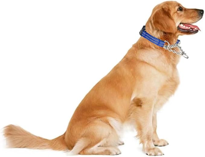 Martingale Collars for Dogs, Heavy Duty Stainless Steel Chain Training Collar, Reflective Nylon Adjustable Collar with Quick Release Buckle, Suitable for Puppy Medium Large Dogs((Blue, L)