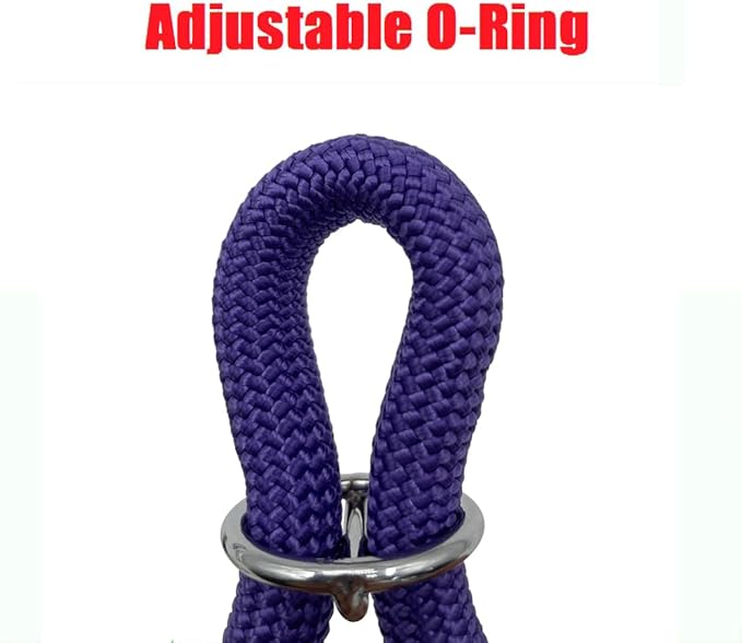 Braided Round Martingale Dog Collar, Training Collar with Slidable Stop Ring - Ideal for Large Dogs (L(1/2") - 22" Long, Purple)