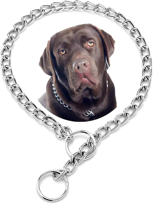 Chain Collar for Dogs,Metal Slip Link Training Heavy Duty Dog Collar Martingale Puppy Collars for Small Medium Large Big XL Breed Dogs Silver XL