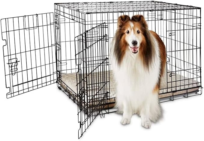 EveryYay by Petco 2-Door Dog Crate Large 36.8" L X 23.2" W X 24.9" H Black: No Handles