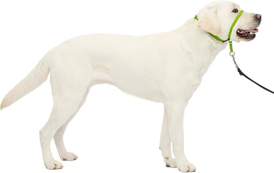 PetSafe Gentle Leader Headcollar No-Pull Dog Collar - Helps Improve Walks - Durable Nylon Construction - Padded Nose Loop - Adjustable Fit - Comfort Walking Halter - Large, Apple Green