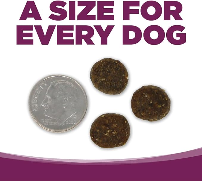 NutriSource Pure Vita Grain Free Pork & Blueberry Dog Food, 25LB