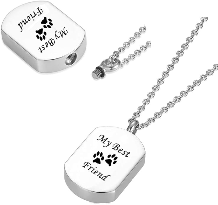 Cremation Jewelry for Ashes for Pet Stainless Steel Keepsake Waterproof Memorial Pendant Ash Holder Paw Print Urn Necklace for Cat Dog's Ashes with Filling Kit