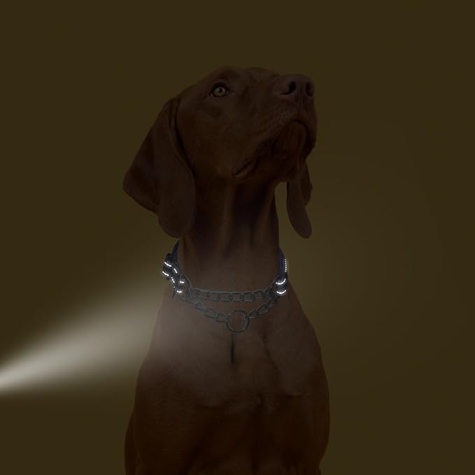 Martingale Dog Collar with Chain,Reflective Nylon Soft Padded Adjustable Choke Collar for for Small Medium Large Pet Boy Male Dogs
