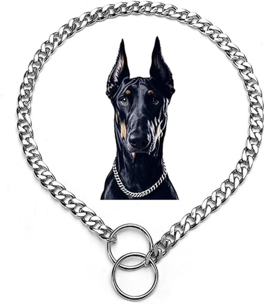 Silver Dog Chain Collar,Metal Slip Link Martingale Dog Collar Heavy Duty Training Dog Collars Boy Girl Puppy Collars for XS Small Medium Large Big Breed Pet,XS