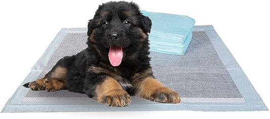 BV Charcoal Puppy Pads XL 40 Count 34"x28" - Leak-Proof Pee Pads for Dogs with 6-Layer Absorbent Design & Built-in Attractant - Dog Pad Extra Large with Charcoal for Odor Control - for Large Dogs