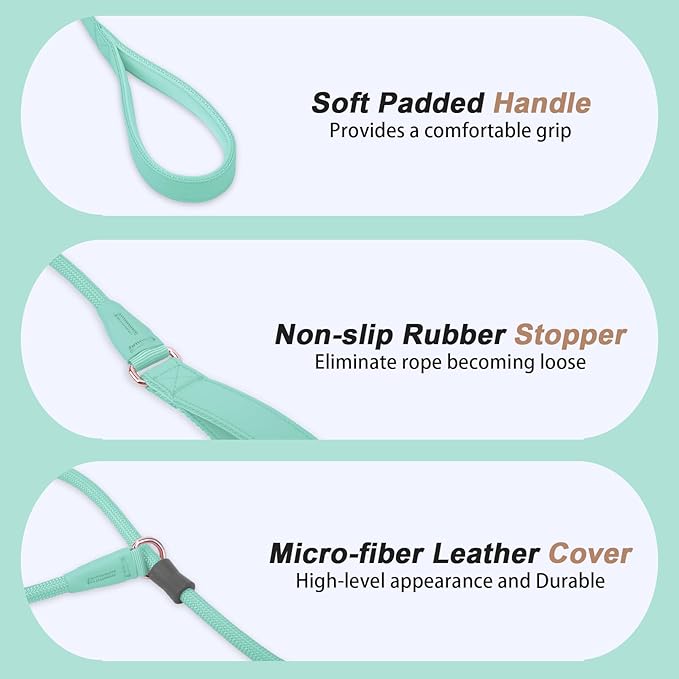 Slip Lead Dog Leash, Double Handle, Soft Leather, Heavy Duty Nylon, No Pull Walking, 5ft Mint Green