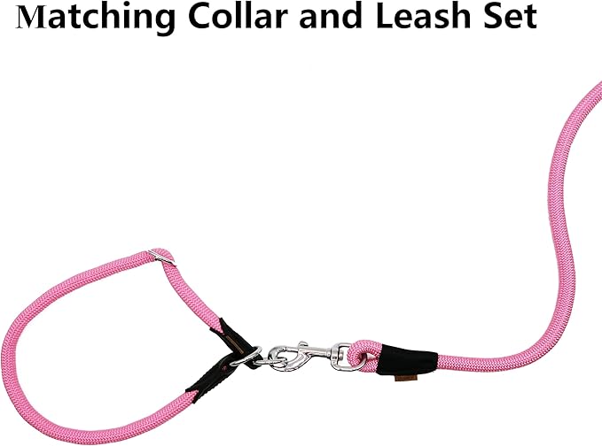 Dog Leash, Braided Rope Traction – Walking Training Lead for Medium/Large Dogs ((1/2") x 6FT, Pink)