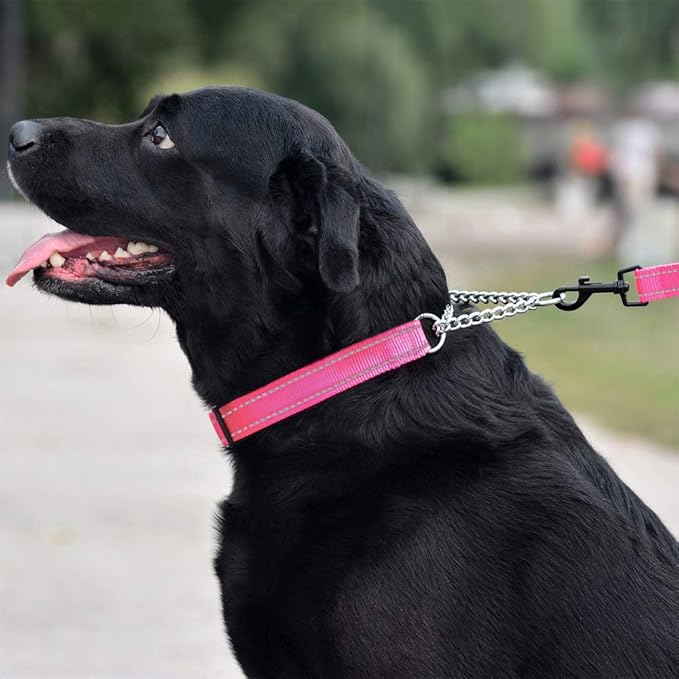 CollarDirect Martingale Dog Collar Training Adjustable Stainless Steel Chain Reflective Nylon Pet Collars for Medium Large Dogs (M, Neck Fit 14"-20", Pink)
