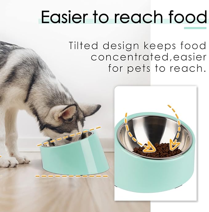 SuperDesign Mess Free 15° Slanted Bowl for Dogs and Cats, Tilted Angle Bulldog Bowl Dog Feeder, Non-Skid & Non-Spill, Easier to Reach Food L/2 Cup Teal