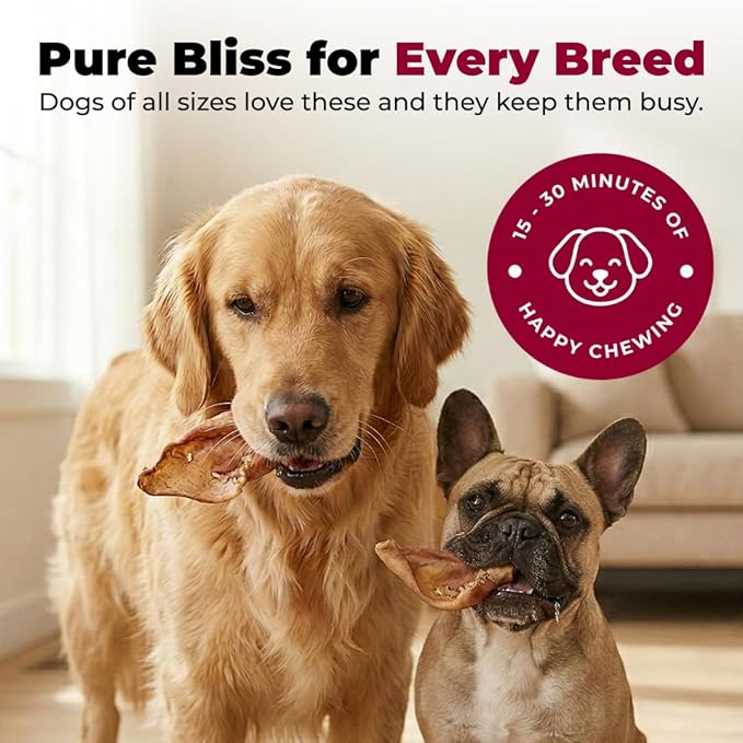 Best Pet Supplies GigaBite Roasted Pig Ears for Dogs - Natural Dog Chews, Roasted Pigs Ears, Safe for Puppies and Aggressive Chewers, Cleans Teeth and Gums - Premium Slivers, 1.8 Pounds