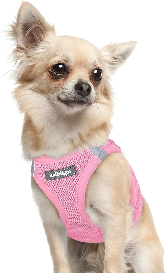 rabbitgoo Small Dog Harness, Step-in Soft Mesh Puppy Vest with Safety Buckle, Breathable Reflective Pet Harness for Extra Small Dogs, Light Pink XXXS