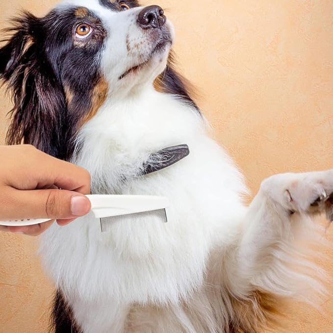 Pet Comb, Multifunctional Fine-Tooth Stainless Steel Grooming Massage Comb for Small Dogs Puppies, Tear Stain Removal 2 in 1 Pet Grooming Brush Kit, White-2Pcs