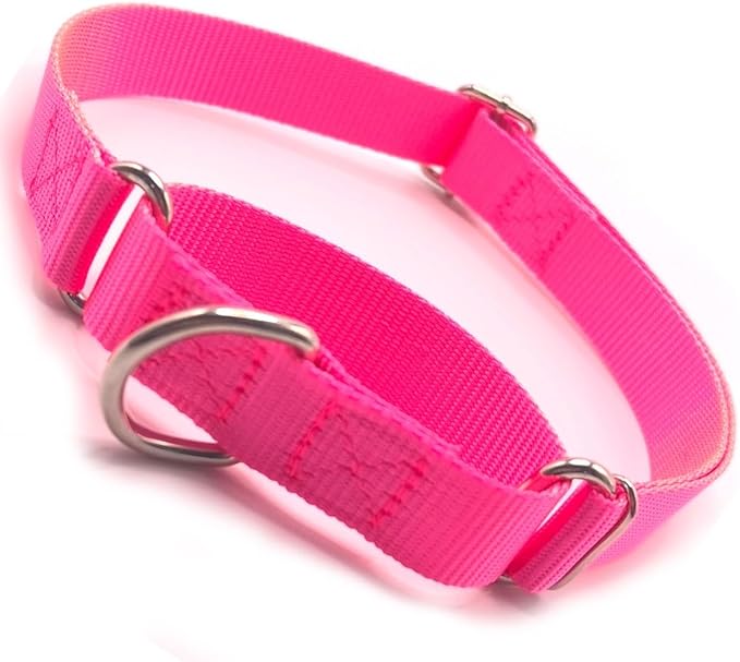 Martingale Collar for Dogs, No Pull Dog Collars for Small Dogs Heavy Duty No Slip Training Choke Collar for Small Medium Large Dog (Hot Pink, S)
