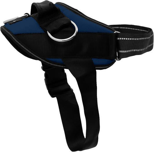 ShawnCo Essential Dog Harness, No-Pull Pet Vest with 3 Leash Clips, No Choke, Reflective, Adjustable and Padded, for Easy Walking and Training for Small, Medium and Large Dogs (Pacific Blue, M)