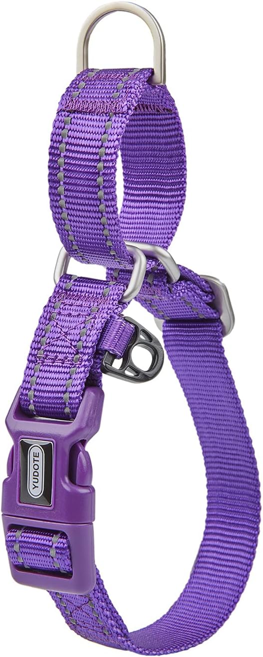 Martingale Collar Reflective Nylon Collar with Safety Quick Release Buckle,Escape-Proof Anti-Pull for Small Medium and Heavy Duty Dogs(Purple,S)