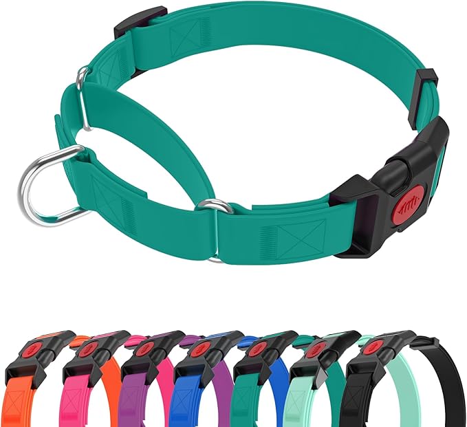 Waterproof Martingale Collar for Dogs,Easy to Clean Dog Collars with Safety Quick Release Buckle,Rubber Collar for Medium Large Dogs Walking Training (Emerald Green, L (19.6-25.9inch))