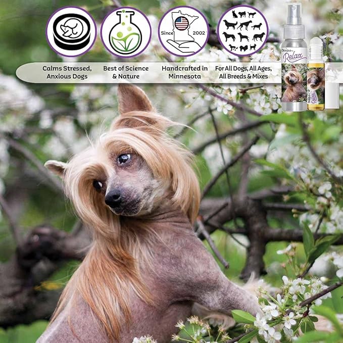 The Blissful Dog Chinese Crested Relax Roll-ON Aromatherapy for Dogs - Anxiety Relief for Dogs