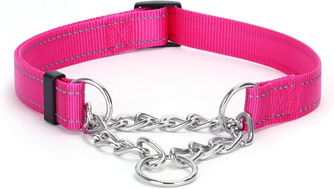 Martingale Dog Collar with Stainless Steel Chain and Leash Set, Martingale Collar with Reflective, 5FT Double Handle Dog Leash Padded, Adjustable for Medium Large Dogs (Hot Pink Collar, L)