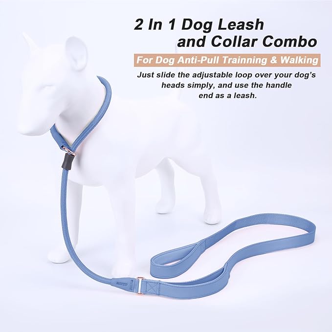 Slip Lead Dog Leash, Dog Training Leash with Double Handle, Soft Leather Slip Leash and Collar, Heavy Duty Nylon Dog Lead, No Pull Walking for Medium Large Small Dogs 5ft Blue Purple