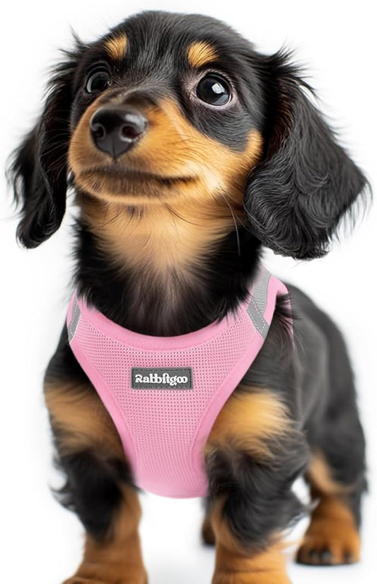 rabbitgoo Small Dog Harness, Step-in Soft Mesh Puppy Vest with Safety Buckle, Breathable Reflective Pet Harness for Extra Small Dogs, Pink & Gray XXS