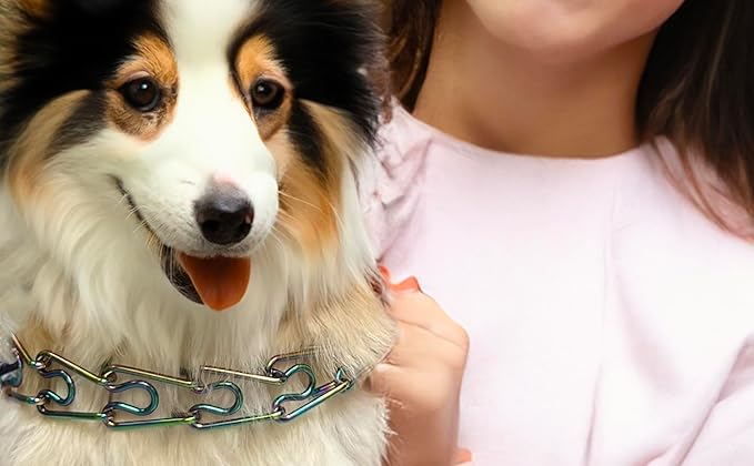 No Pull Dog Collar Dog Training Collar for Small Medium Large Dogs (Rainbow Color, XL)