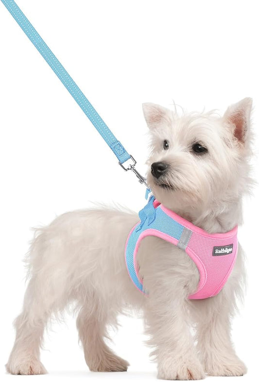 rabbitgoo Dog Harness Small Sized and Leash Set, Step in Soft Light Puppy Vest, Breathable Mesh Pet Harness, Reflective for Safe Easy Walking, Blue & Light Pink S