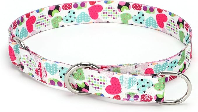 Training Dog Collar, No Pull Martingale Collar, Slip Collar with Slidable Stop Ring for Small, Medium, Large Dogs (NO6, L)