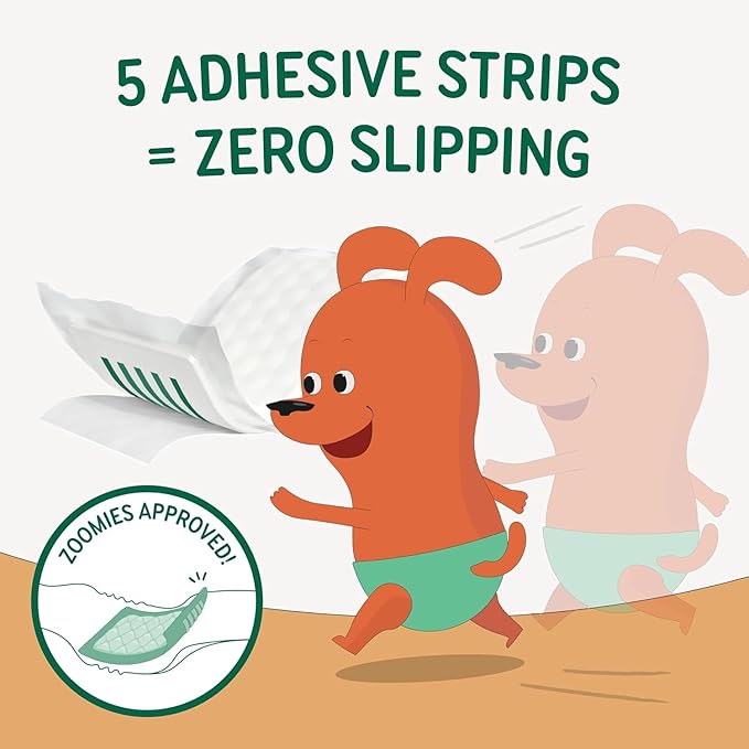PAWPANG Disposable Dog Diaper Liners l Trial Pack (25 Count), Absorbent Inserts with Odor Control for Reusable Dog Diapers & Belly Bands (Large)