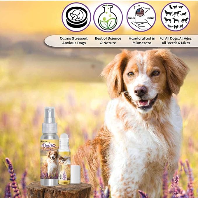 The Blissful Dog Brittany Spaniel Relax Dog Aromatherapy Spray for Your Dog's Anxiety