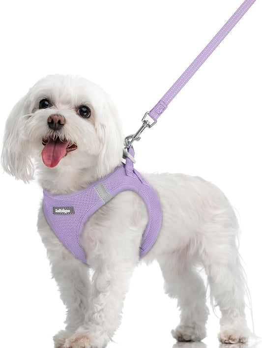 rabbitgoo Dog Harness Small Sized and Leash Set, Step in Soft Light Puppy Vest, Breathable Mesh Pet Harness, Reflective for Safe Easy Walking, Light Purple M