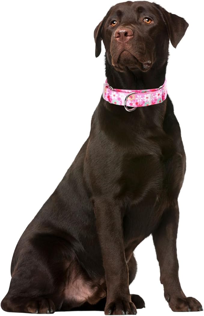 Pink Floral Print Martingale Collar, No-Slip Escape Proof Choke No Pull Soft Nylon Training Dog Collars for Small Medium Large Breed Pet Dogs, S