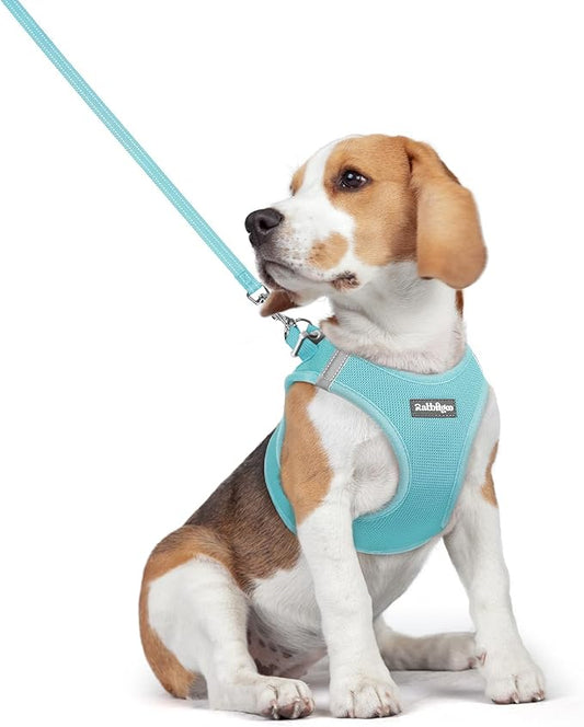 rabbitgoo Dog Harness Small Medium Sized and Leash Set, Step in Soft Light Puppy Vest, Breathable Mesh Pet Harness, Reflective for Safe Easy Walking, Mint Blue L