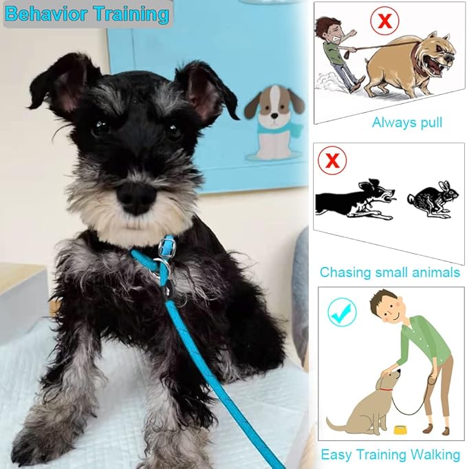 BTINESFUL 10FT / 15FT / 20FT Slip Lead Dog Leash, Reflective 1/3” Rope Leash Long Training Lead for Small Medium Dogs (20ft, Blue)