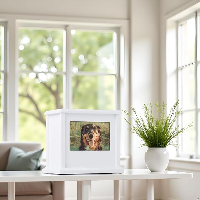 Pearhead Pet Wooden Photo Memory Keepsake Box & Urn, Memorial For Dog & Cat Ashes and Mementos, 4 × 6 Picture Insert, Medium, White