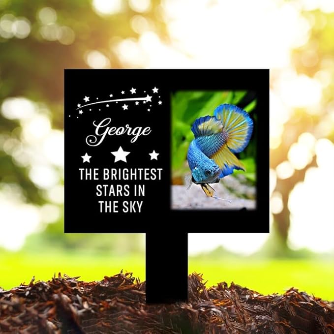 Personalized Fish Memorial Stake Custom Fish Photo The Brightest Stars in The Sky Metal 12x12 inch Pet Grave Marker Fish Loss Gift Sympathy Gift for Fish Lover (Style 2)