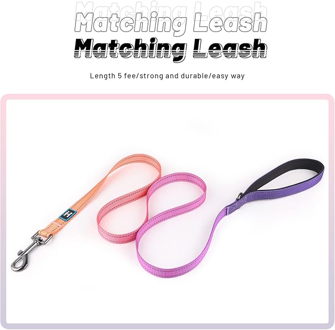 Roses&Poetry Reflective Dog Collar and Leash for Large Dogs, Purple Collars with Leashes Set, Adjustable Durable Pet Personalized Collars Leash for Medium Large Dogs （Mistyrose-L