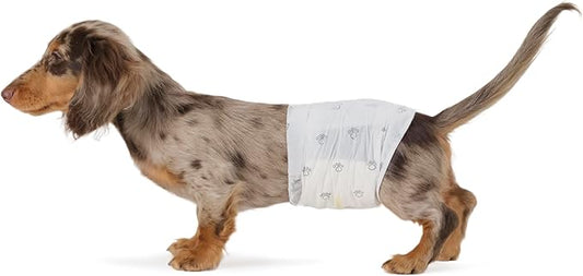Amazon Basics Leak-Proof, Super Absorbent Male Dog Diapers with Wetness Indicator, Comfortable Design, Breathable Disposable Wrap, Secure Fit, Small, 30 Count