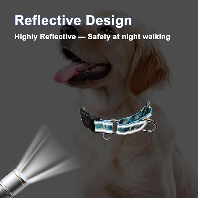 Reflective Martingale Collar with Buckle Adjustable Nylon Training Pet Collars for Small Dogs (Turquoise Shell, S)