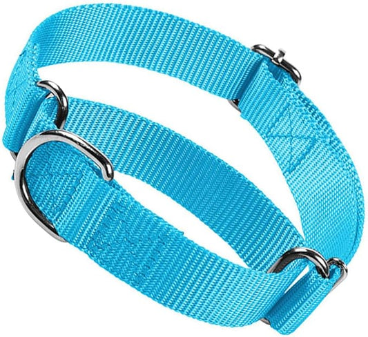Martingale Collar for Dogs, No Pull Choker Collar for Dogs Heavy Duty No Slip Training Dog Choke Collar for for Small Medium Large Dogs (Sky Blue, S)