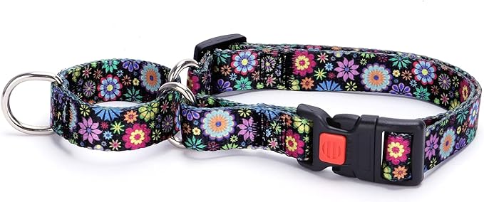 Martingale Dog Collar,Adjustable Nylon Heavy Duty Dog Collar for Small Medium Large Dog,Walking Training Boy and Girl Dogs