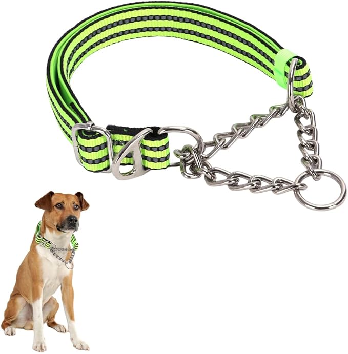 Martingale Collar with Chain,Training Dog Collar, Limited Cinch Chain Pet Gear for No Pull Dog Walking for boy Girl Medium Breeds and Small Pets