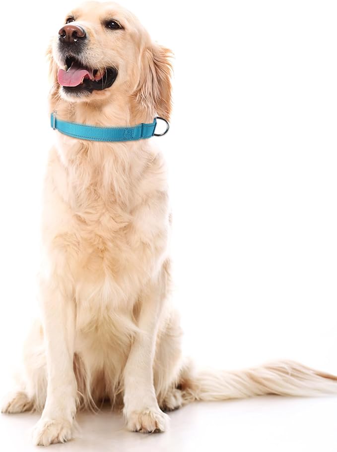 SGODA Martingale Dog Collar, Reflective Nylon Padded Dog Training Collars for Medium Dogs, Blue M