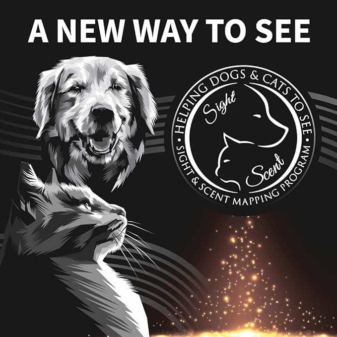 Sight and Scent Mapping Program for Blind or Sight Impaired Dogs and Cats, Set of 2, One for You and One for Friend/Family