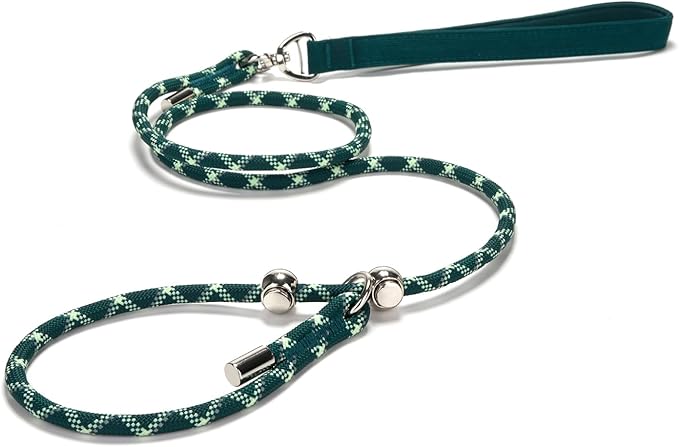 Slip Lead Dog Leash 5 Ft No Pull Reflective Nylon Dog Rope Training Leash with Padded Handle for Puppy Small Medium Dogs(Dark Green)