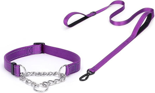 Martingale Dog Collar with Stainless Steel Chain and Leash Set, Martingale Collar with Reflective, 5FT Double Handle Dog Leash Padded, Adjustable for Medium Large Dogs (L, Purple)