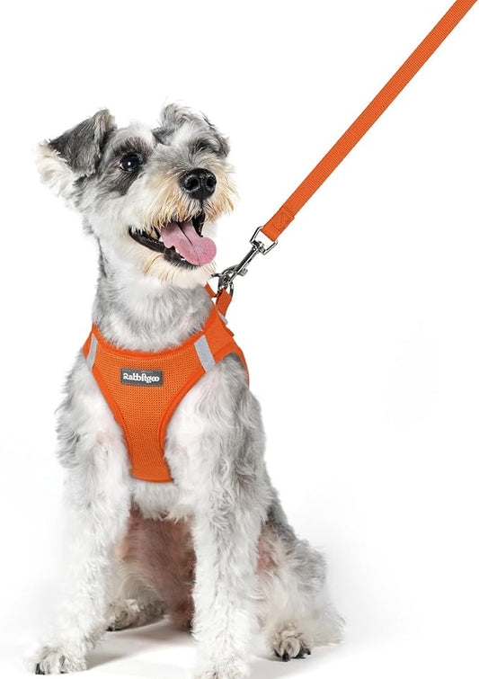 rabbitgoo Dog Harness Small Medium Sized and Leash Set, Step in Soft Light Puppy Vest, Breathable Mesh Pet Harness, Reflective for Safe Easy Walking, Orange XL